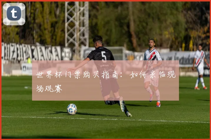 世界杯门票购买指南:如何亲临现场观赛